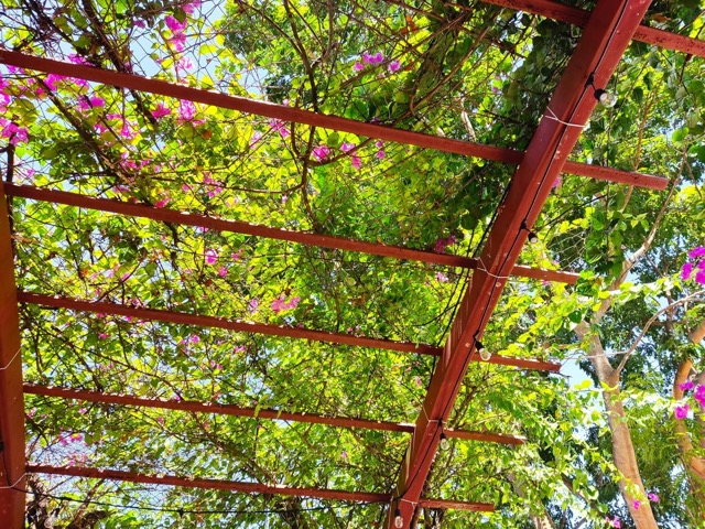 Barbedette Paysage, votre architecte paysagiste dans l’Eure