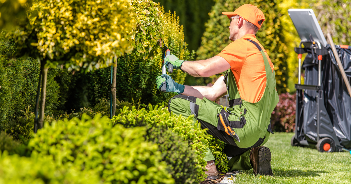 Entretien de jardin les tâches clés pour un espace sain