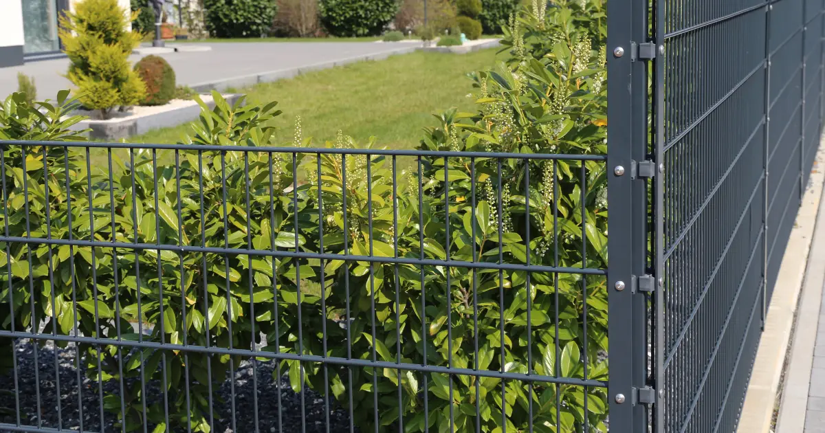Types de clôtures et portails